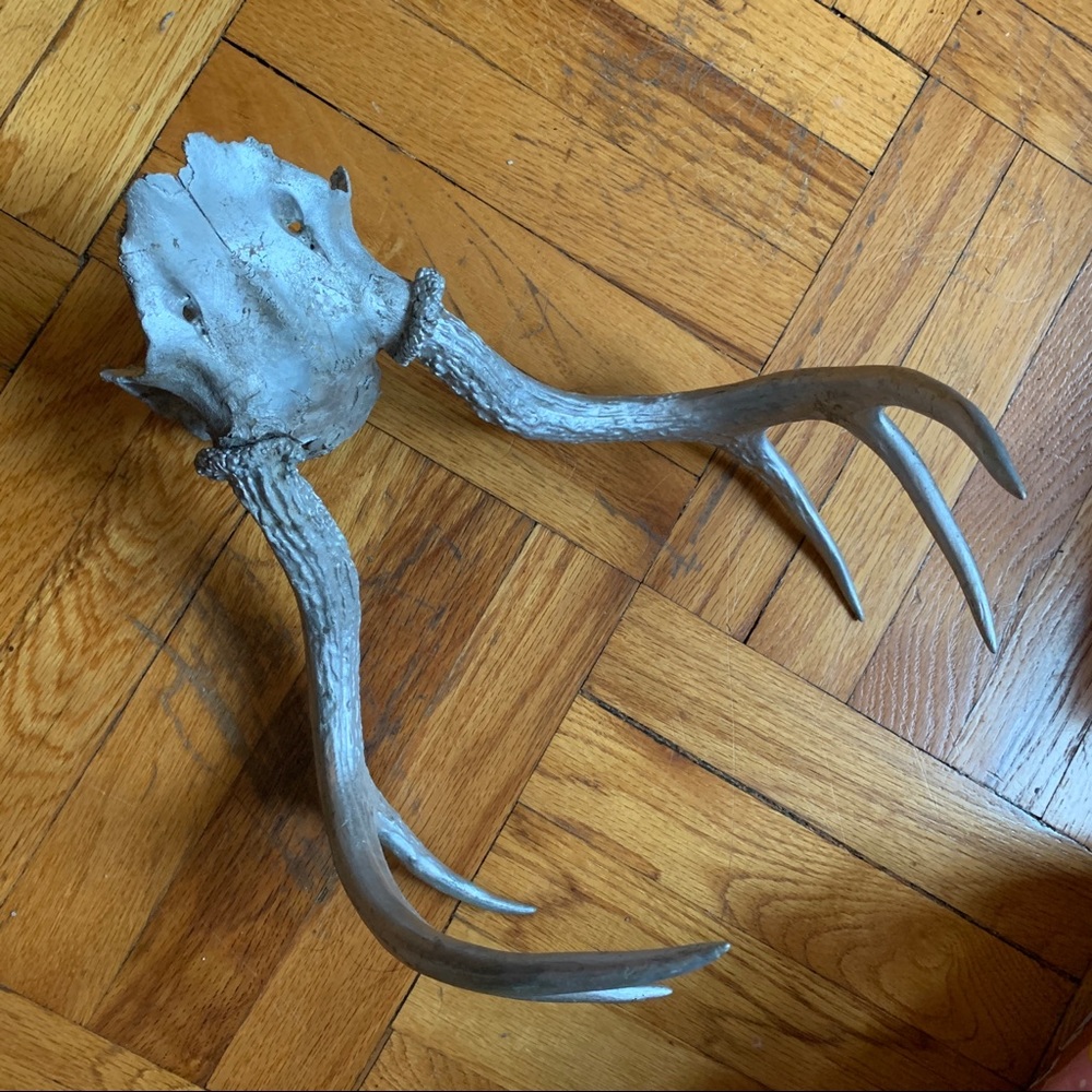 Real Deer Skull painted silver